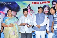 Danger Love Story Audio Launch